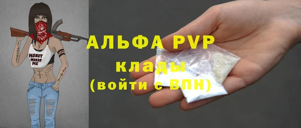 стафф Алзамай