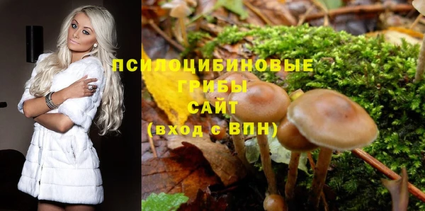 spice Алексин